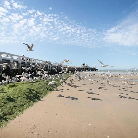 Διαμέρισμα In With Sea Views