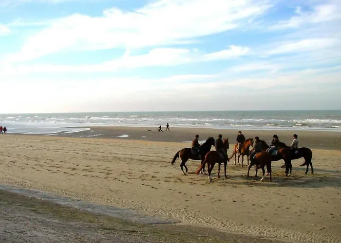 In With Sea Views 公寓