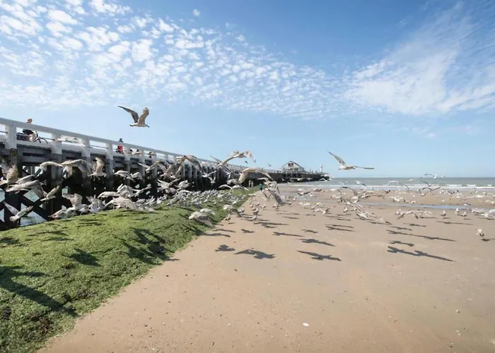 In With Sea Views * 布兰肯贝赫